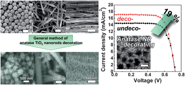 Graphical abstract: Anatase TiO2 nanorod-decoration for highly efficient photoenergy conversion