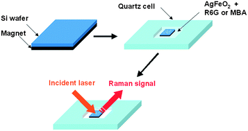 Graphical abstract: Excellent surface-enhanced Raman scattering (SERS) based on AgFeO2 semiconductor nanoparticles