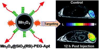 Graphical abstract: Aptamer-conjugated Mn3O4@SiO2 core–shell nanoprobes for targeted magnetic resonance imaging