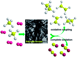 Graphical abstract: Exploiting shape effects of La2O3 nanocatalysts for oxidative coupling of methane reaction