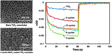 Graphical abstract: Electrochromic properties of TiO2 nanotubes coated with electrodeposited MoO3