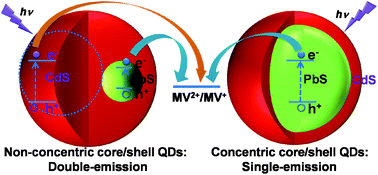 Graphical abstract: Investigating photoinduced charge transfer in double- and single-emission PbS@CdS core@shell quantum dots
