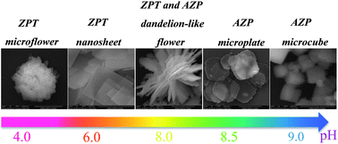 Graphical abstract: Controllable synthesis of Ln3+ (Ln = Tb, Eu) doped zinc phosphate nano-/micro-structured materials: phase, morphology and luminescence properties
