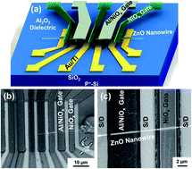 Graphical abstract: A ZnO nanowire-based photo-inverter with pulse-induced fast recovery
