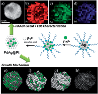 Graphical abstract: Trimetallic nanostructures: the case of AgPd–Pt multiply twinned nanoparticles