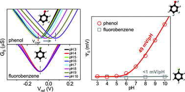 Graphical abstract: High mobility graphene ion-sensitive field-effect transistors by noncovalent functionalization