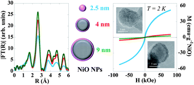 Graphical abstract: Interplay between microstructure and magnetism in NiO nanoparticles: breakdown of the antiferromagnetic order