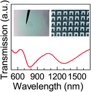 Graphical abstract: Transparent free-standing metamaterials and their applications in surface-enhanced Raman scattering