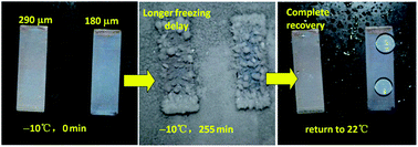Graphical abstract: Strong anti-ice ability of nanohairs over micro-ratchet structures
