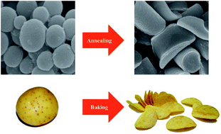 Graphical abstract: Curved polymer nanodiscs by wetting nanopores of anodic aluminum oxide templates with polymer nanospheres