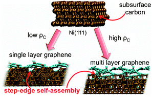 Graphical abstract: Step-edge self-assembly during graphene nucleation on a nickel surface: QM/MD simulations