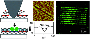 Graphical abstract: Fabrication of molecular nanopatterns at aluminium oxide surfaces by nanoshaving of self-assembled monolayers of alkylphosphonates