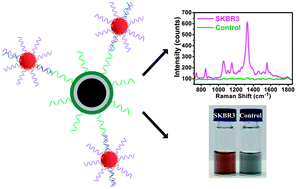 Graphical abstract: Colorimetry and SERS dual-mode detection of telomerase activity: combining rapid screening with high sensitivity