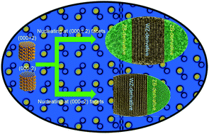 Graphical abstract: Selective epitaxial growth of zinc blende-derivative on wurtzite-derivative: the case of polytypic Cu2CdSn(S1−xSex)4 nanocrystals