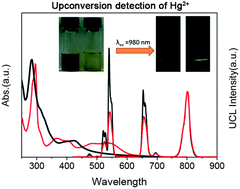 Graphical abstract: Cyclometallated ruthenium complex-modified upconversion nanophosphors for selective detection of Hg2+ ions in water