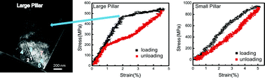 Graphical abstract: Direct observation of hierarchical nucleation of martensite and size-dependent superelasticity in shape memory alloys