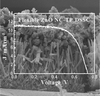 Graphical abstract: Room-temperature chemical integration of ZnO nanoarchitectures on plastic substrates for flexible dye-sensitized solar cells