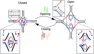 Graphical abstract: An on-demand four-way junction DNAzyme nanoswitch driven by inosine-based partial strand displacement