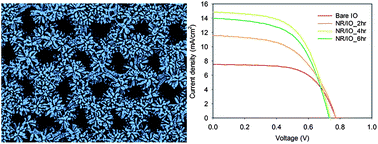 Graphical abstract: 1D nanorod-planted 3D inverse opal structures for use in dye-sensitized solar cells