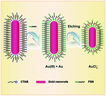 Graphical abstract: Nonionic fluorosurfactant as an ideal candidate for one-step modification of gold nanorods