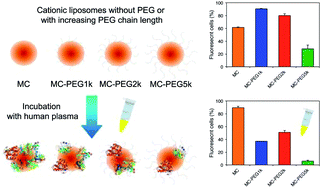 Graphical abstract: Effect of polyethyleneglycol (PEG) chain length on the bio–nano-interactions between PEGylated lipid nanoparticles and biological fluids: from nanostructure to uptake in cancer cells