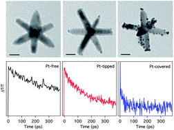 Graphical abstract: Charge separation in Pt-decorated CdSe@CdS octapod nanocrystals