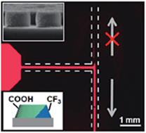 Graphical abstract: Anisotropic Janus Si nanopillar arrays as a microfluidic one-way valve for gas–liquid separation