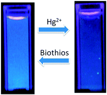 Graphical abstract: Highly photoluminescent silicon nanocrystals for rapid, label-free and recyclable detection of mercuric ions