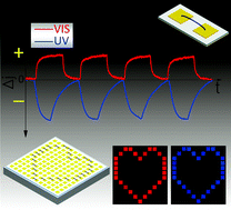 Graphical abstract: Single inorganic–organic hybrid nanowires with ambipolar photoresponse