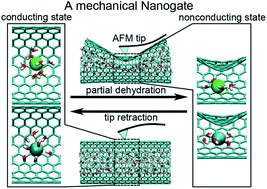 Graphical abstract: A mechanical nanogate based on a carbon nanotube for reversible control of ion conduction