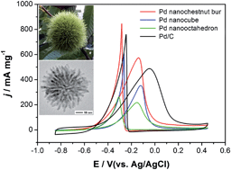 Graphical abstract: Synthesis of chestnut-bur-like palladium nanostructures and their enhanced electrocatalytic activities for ethanol oxidation