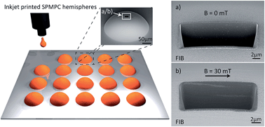 Graphical abstract: Inkjet printed superparamagnetic polymer composite hemispheres with programmed magnetic anisotropy