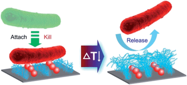 Graphical abstract: Nanopatterned antimicrobial enzymatic surfaces combining biocidal and fouling release properties