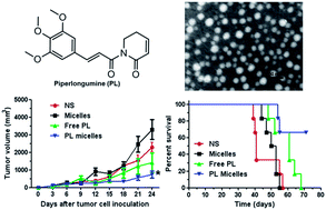 Graphical abstract: Biodegradable nanoassemblies of piperlongumine display enhanced anti-angiogenesis and anti-tumor activities