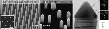 Graphical abstract: Metal-seeded growth of III–V semiconductor nanowires: towards gold-free synthesis