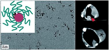 Graphical abstract: Synthesis of PEGylated low generation dendrimer-entrapped gold nanoparticles for CT imaging applications