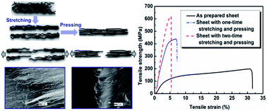 Graphical abstract: Highly aligned dense carbon nanotube sheets induced by multiple stretching and pressing