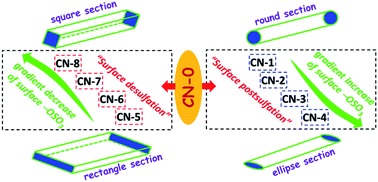 Graphical abstract: Surface chemistry, morphological analysis and properties of cellulose nanocrystals with gradiented sulfation degrees