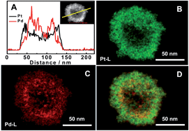 Graphical abstract: Facile synthesis of hierarchical dendritic PtPd nanogarlands supported on reduced graphene oxide with enhanced electrocatalytic properties