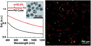 Graphical abstract: Porous Pd nanoparticles with high photothermal conversion efficiency for efficient ablation of cancer cells