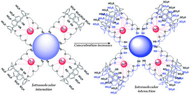 Graphical abstract: A novel calix[4]arene thiol functionalized silver nanoprobe for selective recognition of ferric ion with nanomolar sensitivity via DLS selectivity in human biological fluid