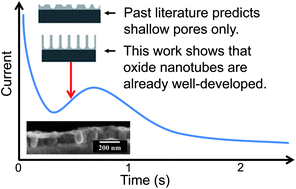 Graphical abstract: New insights into the initial stages of Ta oxide nanotube formation on polycrystalline Ta electrodes