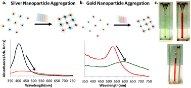 Graphical abstract: Multiplexed colorimetric detection of Kaposi's sarcoma associated herpesvirus and Bartonella DNA using gold and silver nanoparticles