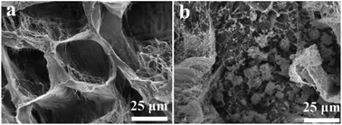 Graphical abstract: Fast and continuous preparation of high polymerization degree cellulose nanofibrils and their three-dimensional macroporous scaffold fabrication