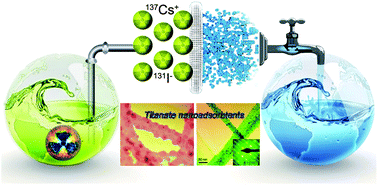 Graphical abstract: Titanate-based adsorbents for radioactive ions entrapment from water