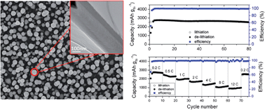 Graphical abstract: High performance carbon nanotube–Si core–shell wires with a rationally structured core for lithium ion battery anodes