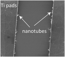 Graphical abstract: Carbon nanotube electrodes in organic transistors