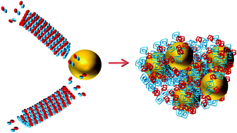 Graphical abstract: Unprecedented inhibition of tubulin polymerization directed by gold nanoparticles inducing cell cycle arrest and apoptosis