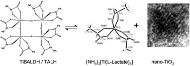 Graphical abstract: Solution equilibrium behind the room-temperature synthesis of nanocrystalline titanium dioxide