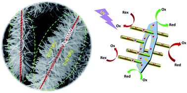 Graphical abstract: Double-sided ZnO nanorod arrays on single-crystal Ag holed microdisks with enhanced photocataltytic efficiency